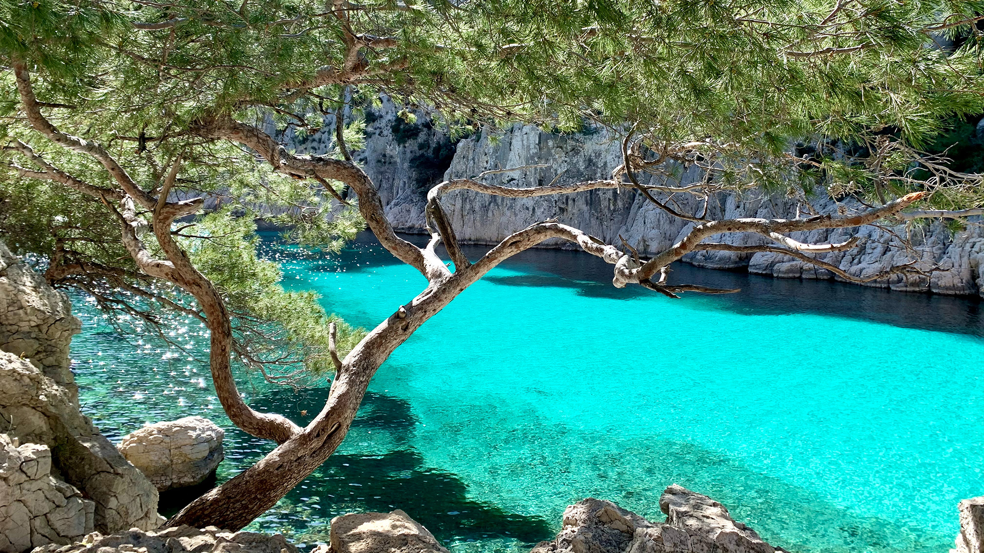 Visite – Découvrez la Calanque de la Redonne